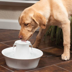 Fontana PetSafe Drinkwell Avalon - keramička