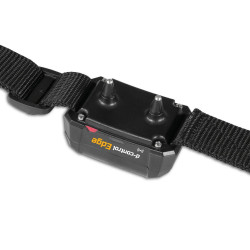 Dogtrace d-control Edge 650R trenirka ogrlica s prstenastim upravljačem