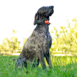 Uređaj za traženje pasa Dogtrace DOG GPS X30