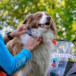 Uređaj za traženje pasa Dogtrace DOG GPS X30